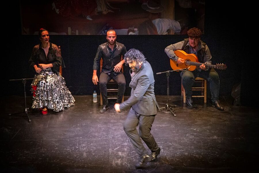 Seville: Live Flamenco Show at "Teatro Flamenco Triana" - Who will enjoy this show most?