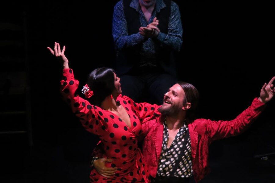 Seville: Live Flamenco Show at "Teatro Flamenco Triana" - How to make the most of the performance