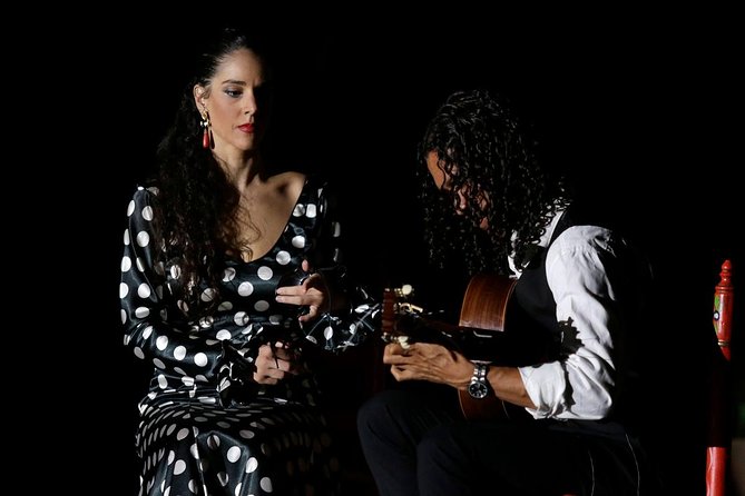 Seville Pure Flamenco Tour - Timing, meeting details, and cancellation