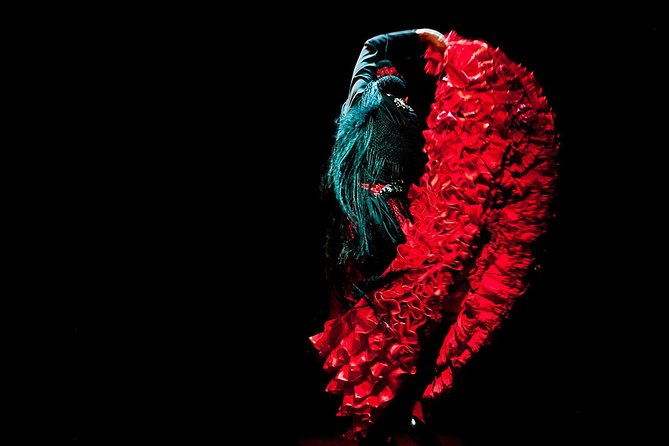 Seville: Puro Flamenco Show - Museo del Baile Flamenco - A one-hour introduction to flamenco