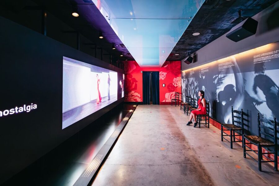 Seville: Puro Flamenco Show with Optional Museum Ticket - The value of $34 for one hour