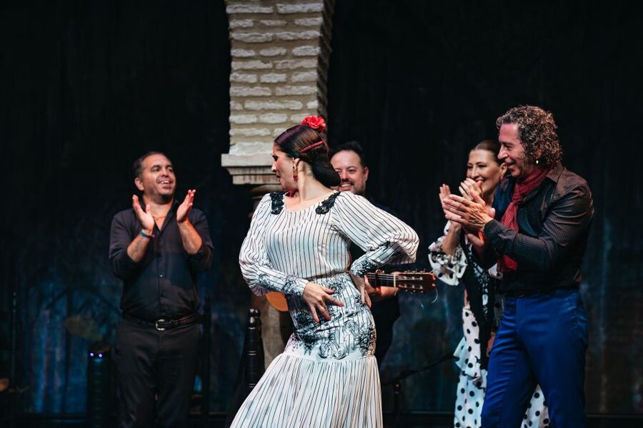 Seville: Puro Flamenco Show with Optional Museum Ticket - Who will enjoy this show most