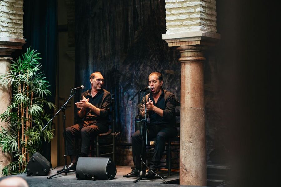 Seville: Puro Flamenco Show with Optional Museum Ticket - Planning your evening in Barrio de Santa Cruz