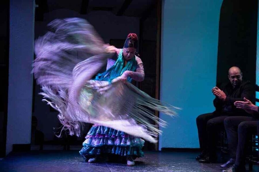 Seville: Tapas Dinner and Flamenco Show - More than 10 artists on a small stage
