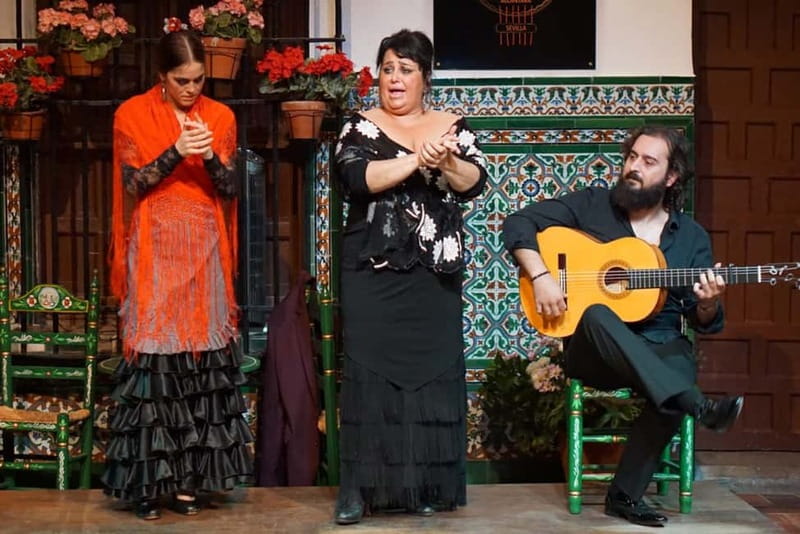 Seville: Tapas Walking Tour with Traditional Flamenco Show - Dietary needs, walking, and age limits