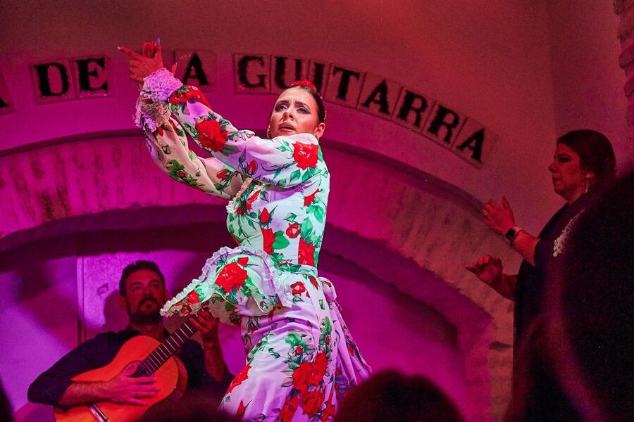 Seville: Ticket to Flamenco Show at La Casa de la Guitarra - What the one-hour performance includes
