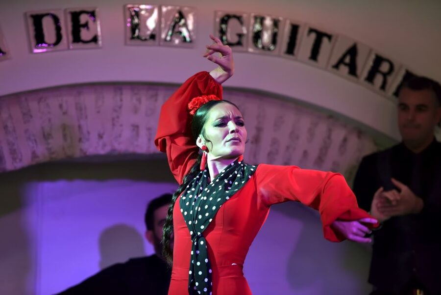 Seville: Ticket to Flamenco Show at La Casa de la Guitarra - The guitar collection gives the visit a sense of place