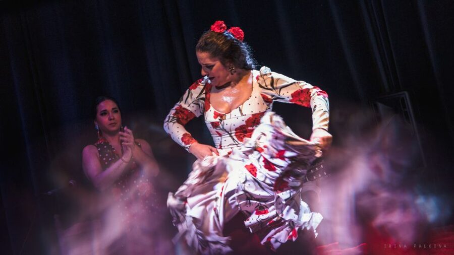 Seville: Traditional Flamenco Show in Triana - Who will enjoy Orillas de Triana most