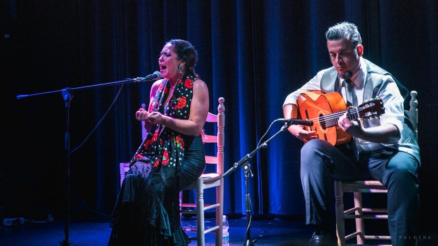 Seville: Traditional Flamenco Show in Triana - The finale brings everyone together
