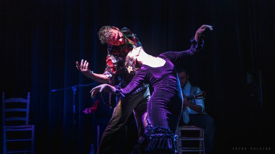 Seville: Traditional Flamenco Show in Triana - What the one-hour format means for value