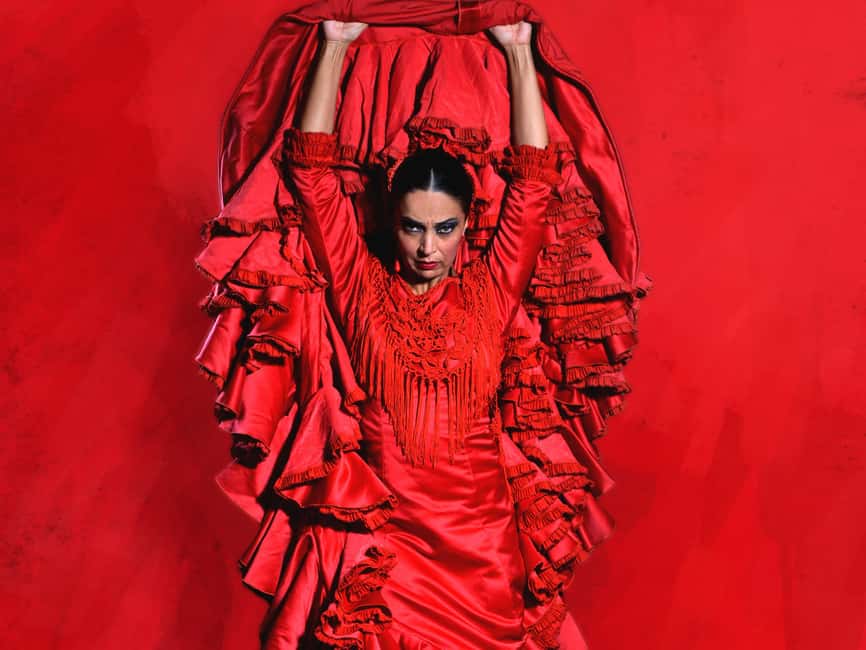 Teatro Flamenco Barcelona: Authentic Live Flamenco Show - The limits you should know before booking