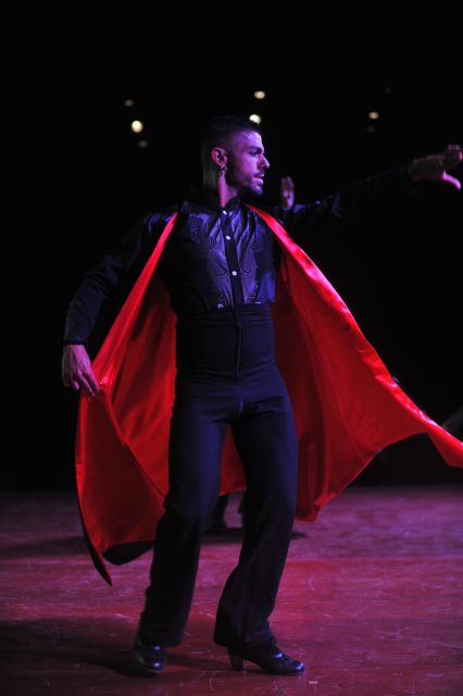 Tenerife: Flamenco Performance at Teatro Coliseo - Where the experience could be better