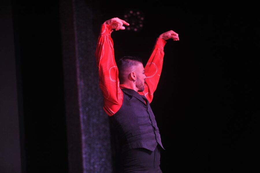 Tenerife: Flamenco Performance at Teatro Coliseo - Getting there and getting home