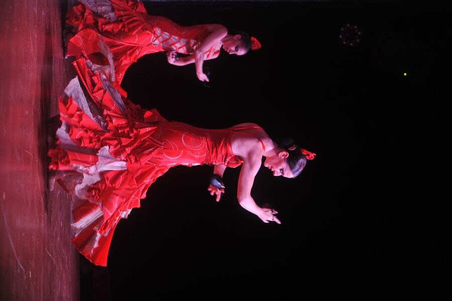 Tenerife: Flamenco Performance at Teatro Coliseo - What the performance does especially well