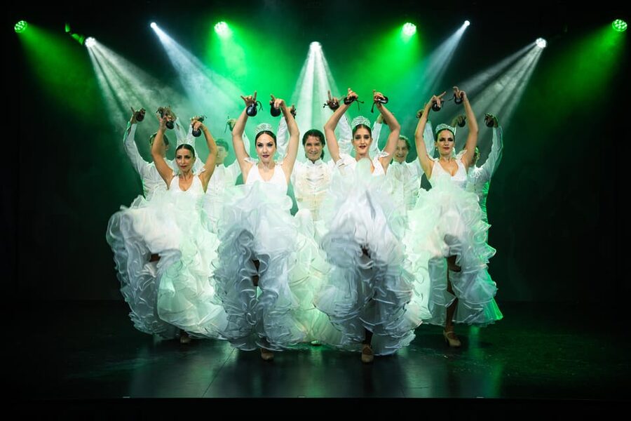 Tenerife : Olé Flamenco Show by Fran Chafino Ticket - Key points to know before booking