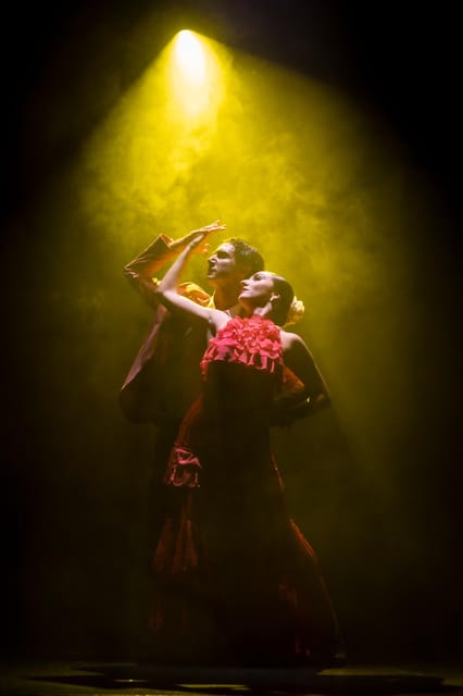 Tenerife : Olé Flamenco Show by Fran Chafino Ticket - A Spanish dance show that builds toward flamenco