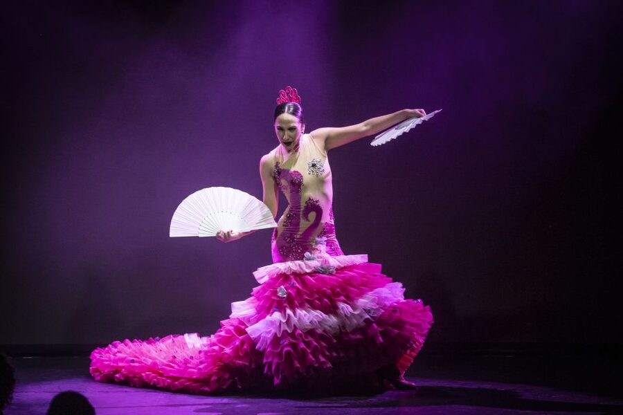 Tenerife : Olé Flamenco Show by Fran Chafino Ticket - Getting there and finding the right entrance