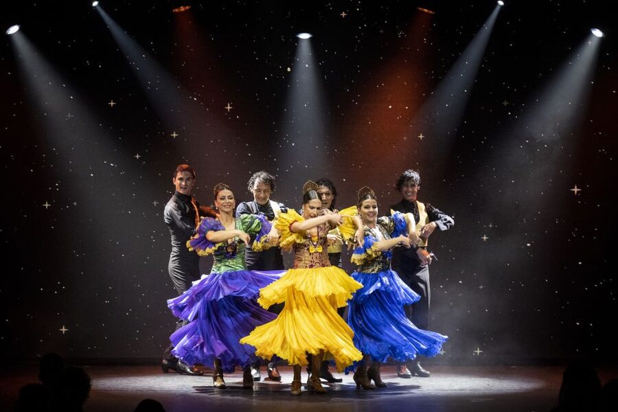 Tenerife : Olé Flamenco Show by Fran Chafino Ticket - Booking, cancellation, and small practical details