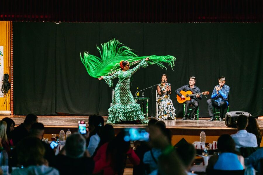 Torremolinos: Flamenco Show with Dinner and Drinks - Should you book the Torremolinos flamenco dinner?