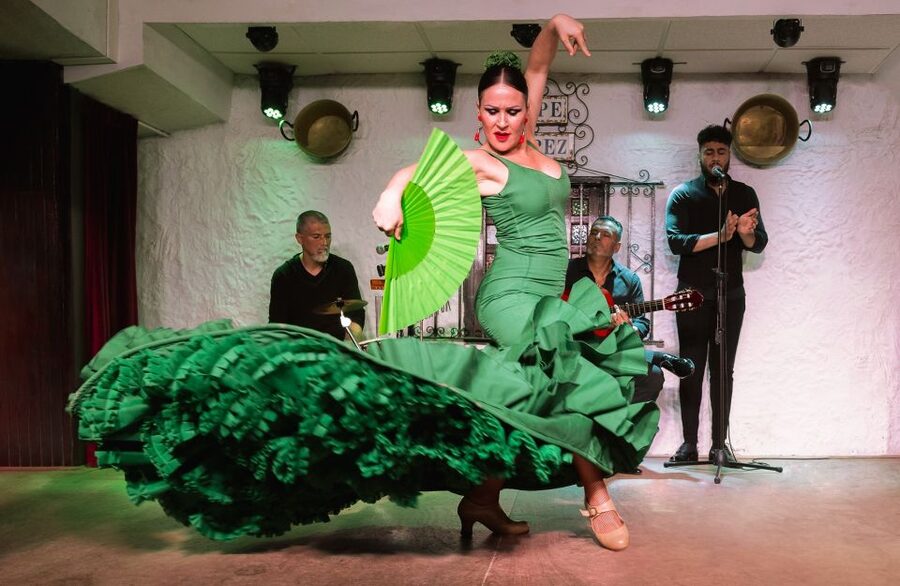 Torremolinos: Flamenco Show with Drinks - The music, costumes, and emotional range