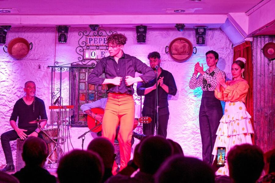 Torremolinos: Flamenco Show with Drinks - Service, arrival, and the practical details