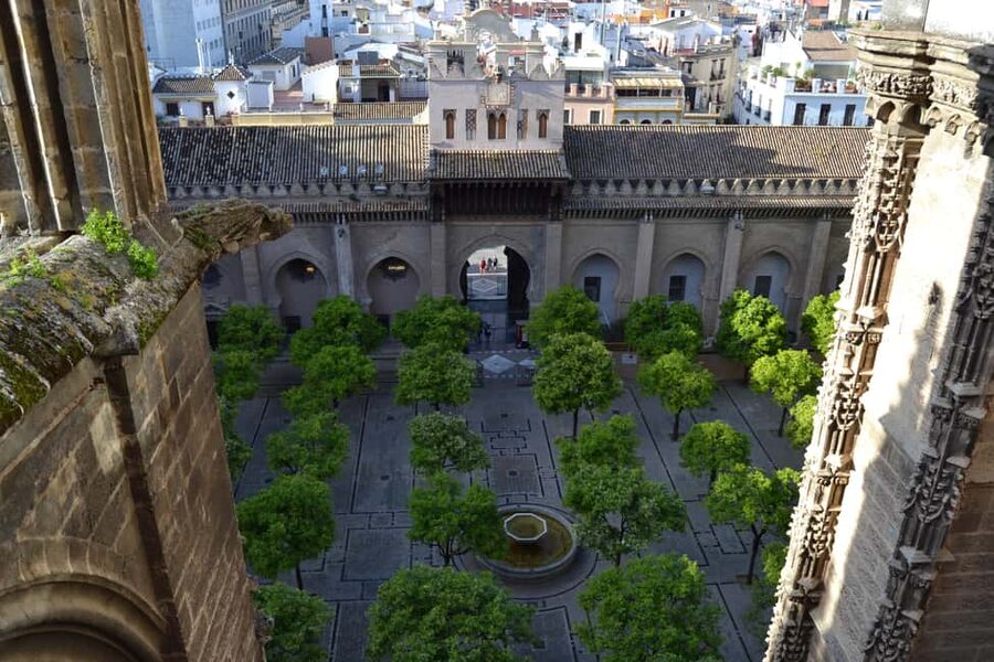Unforgettable Seville: Tour of Seville and the Jewish Quarter + Flamenco Show - The Alcázar porticoes and the great monument view