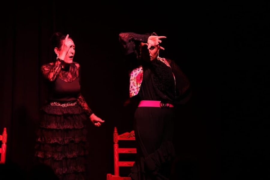 Valencia: Authentic Flamenco Show Entry Ticket - Key points to know before you go