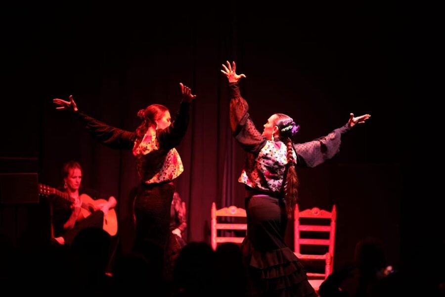Valencia: Authentic Flamenco Show Entry Ticket - Why the small room changes the night