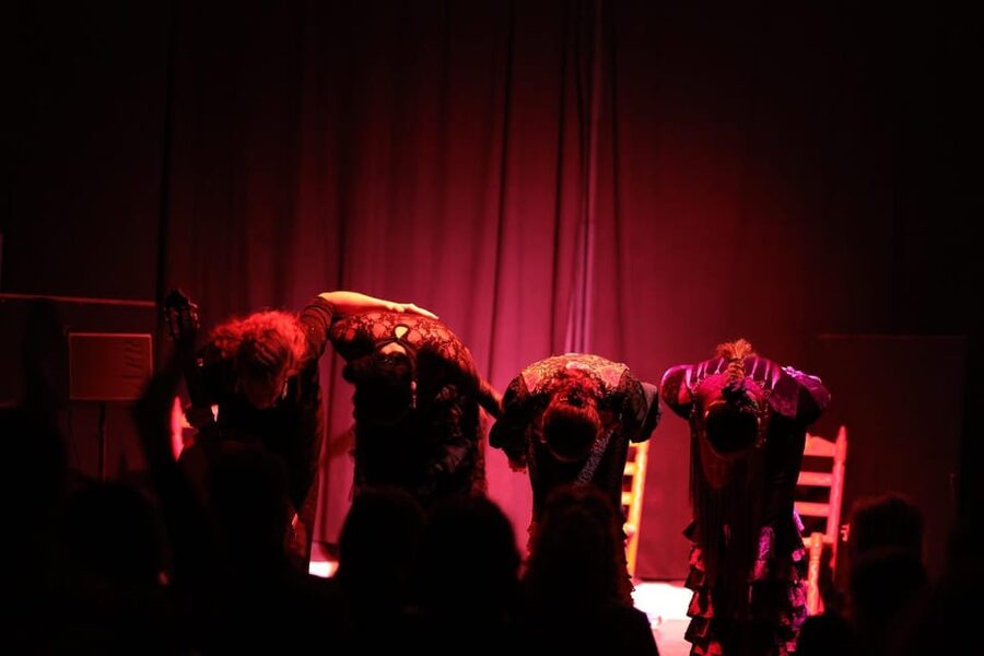 Valencia: Authentic Flamenco Show Entry Ticket - The performers are the reason to book