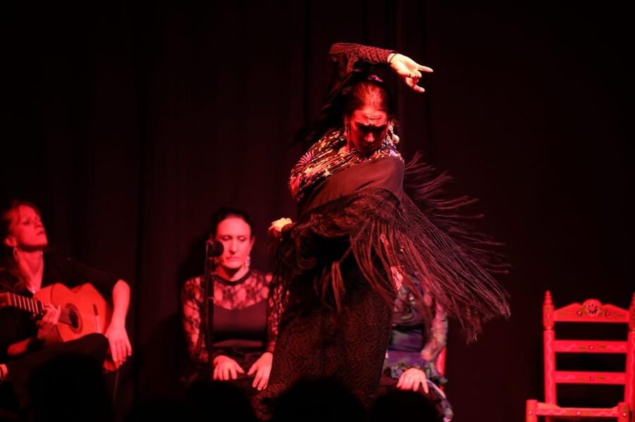 Valencia: Authentic Flamenco Show Entry Ticket - The one-hour performance: guitar, voice, and footwork