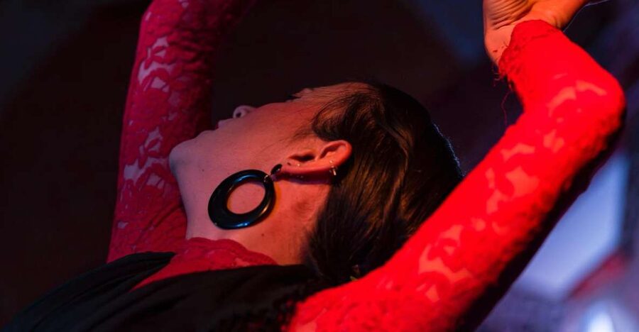 Valencia: Flamenco at Toro y La Luna with optional Dinner - A close-up flamenco night in Valencia