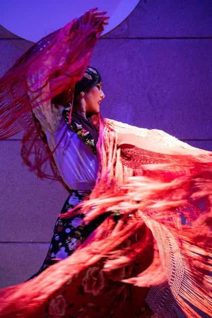 Valencia: La Linterna Flamenco Show - Key points at a glance