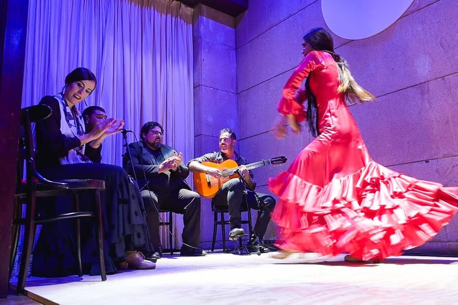 Valencia: La Linterna Flamenco Show - The dancers, singers, and guitarist