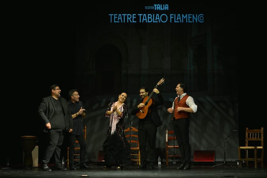 Valencia: New Flamenco Show in the Most Emblematic Theater of the City - Is $23 a fair price?