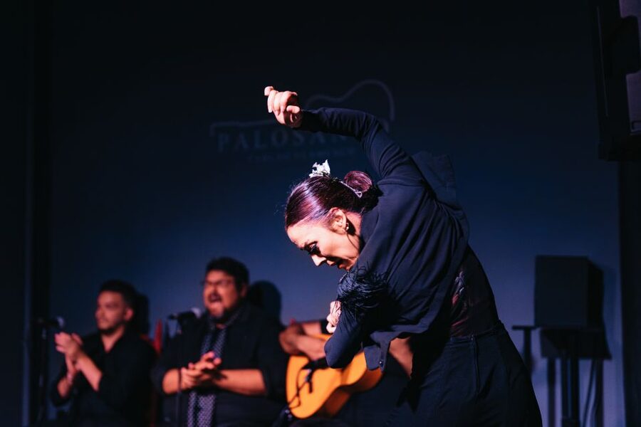 Valencia: Palosanto Flamenco Show Ticket - Arriving in Cabañal for the performance
