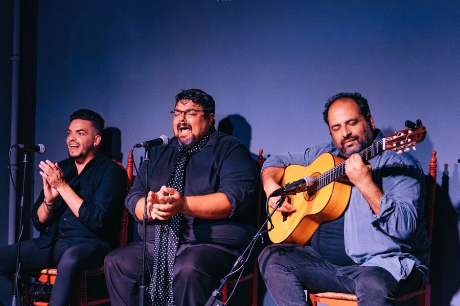 Valencia: Palosanto Flamenco Show Ticket - A small theatre built for sound