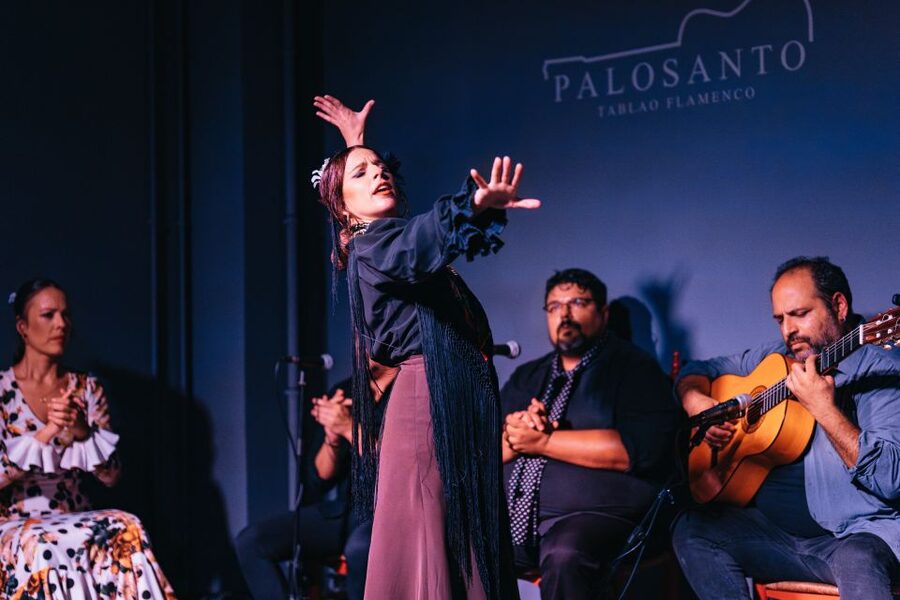 Valencia: Palosanto Flamenco Show Ticket - What the flamenco performance feels like
